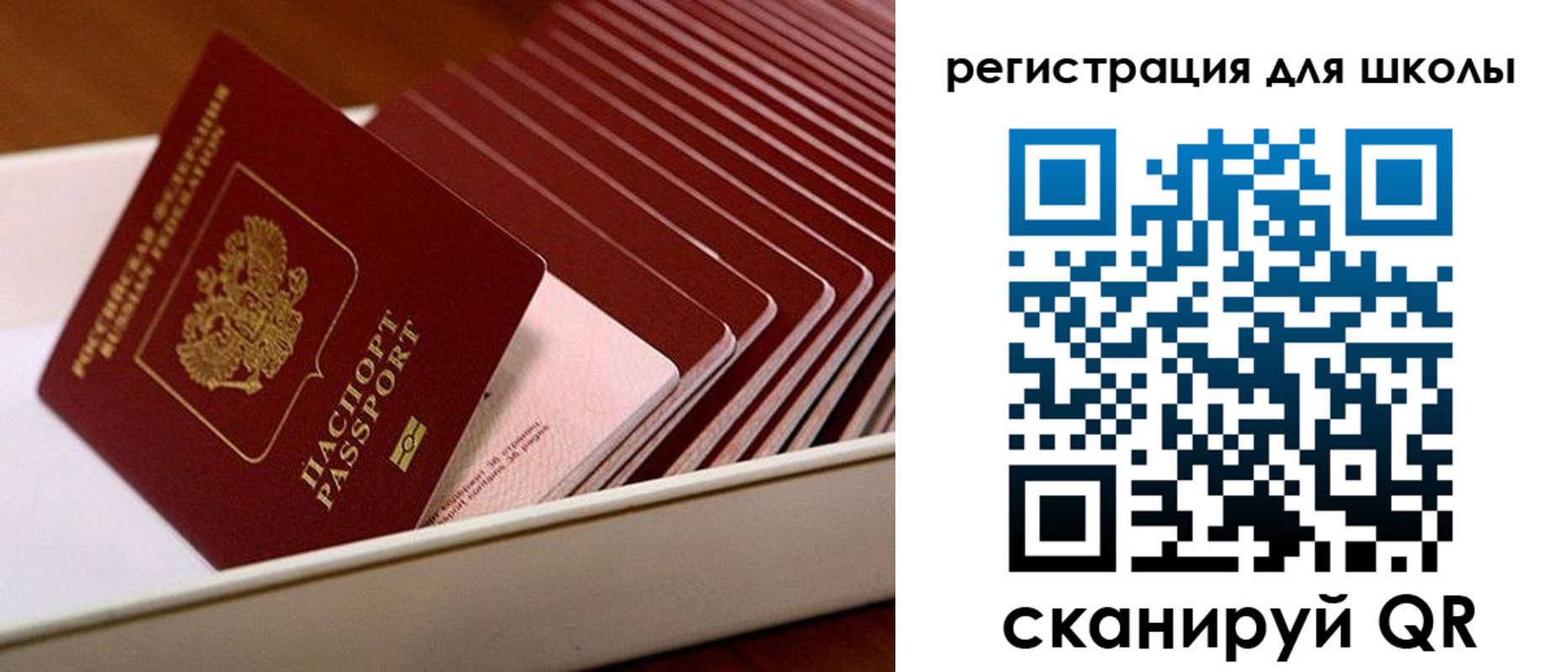 прописка гарантия в Шилке